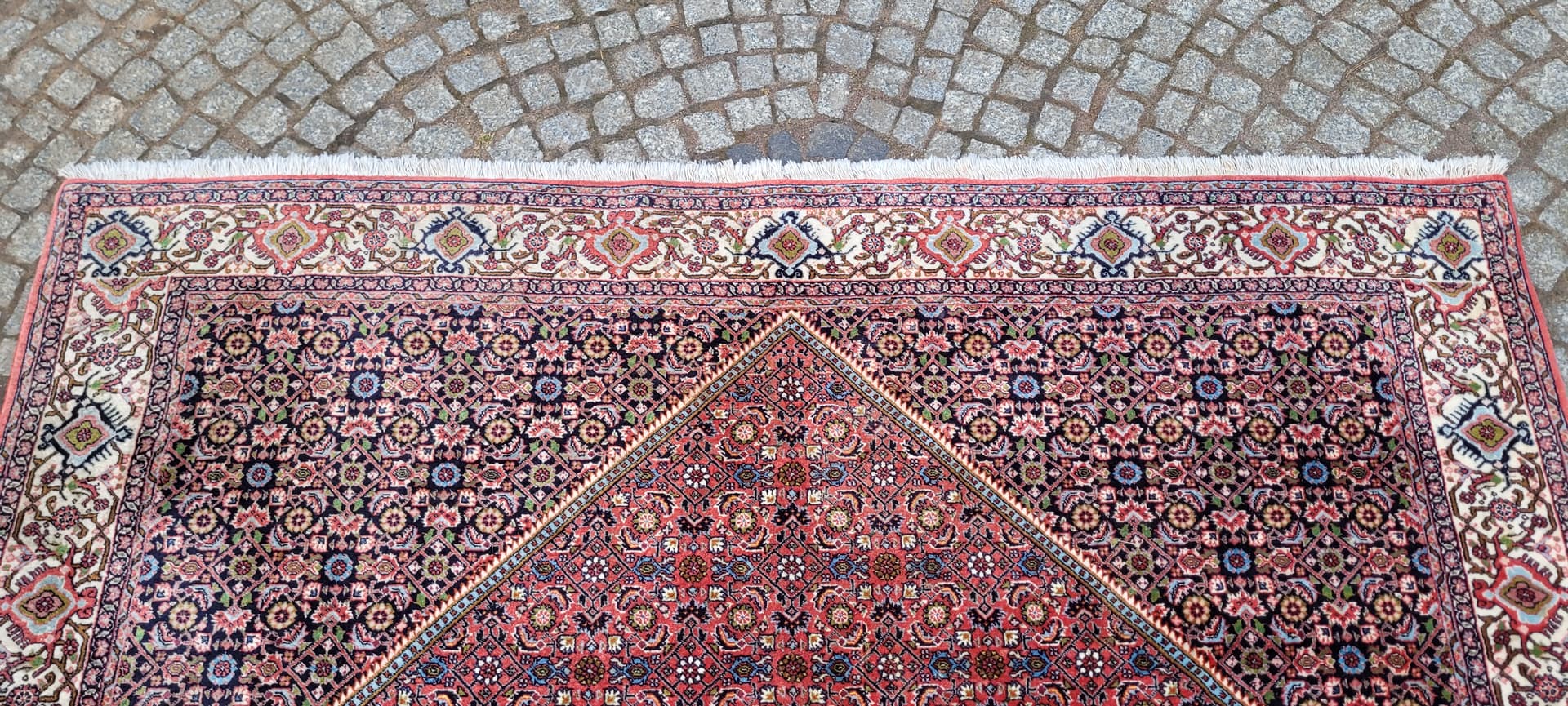 Rug Bidjar Takab 200x300 cm, multicolor, wool, cotton, Iran - 289467