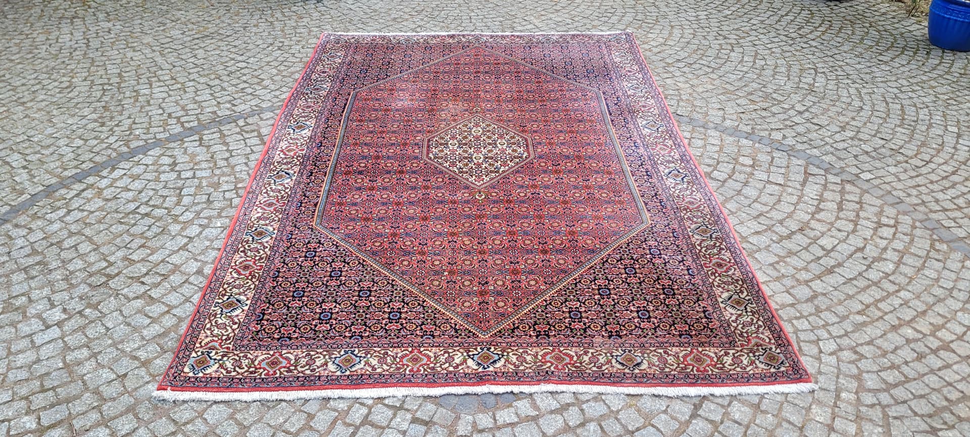 Rug Bidjar Takab 200x300 cm, multicolor, wool, cotton, Iran - 289463