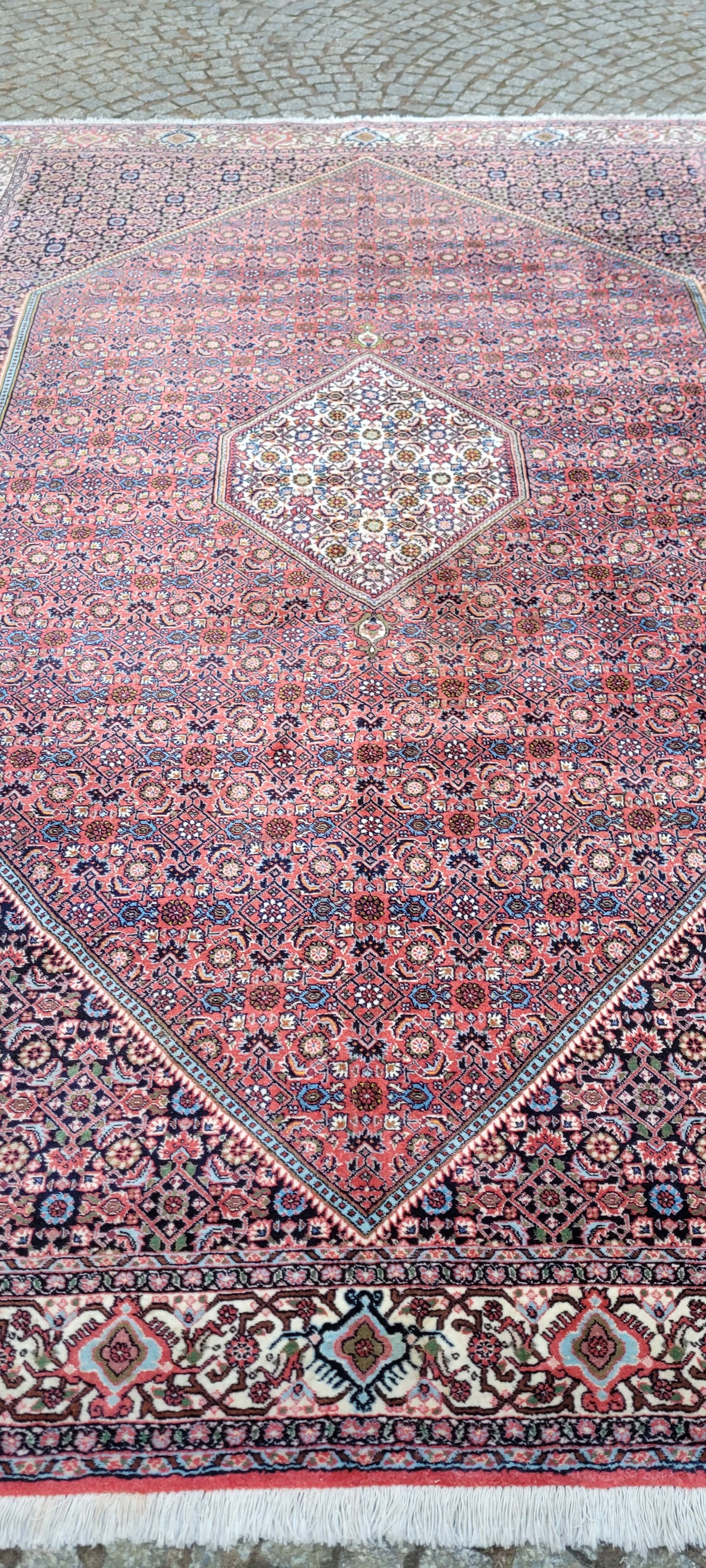 Rug Bidjar Takab 200x300 cm, multicolor, wool, cotton, Iran - 289464