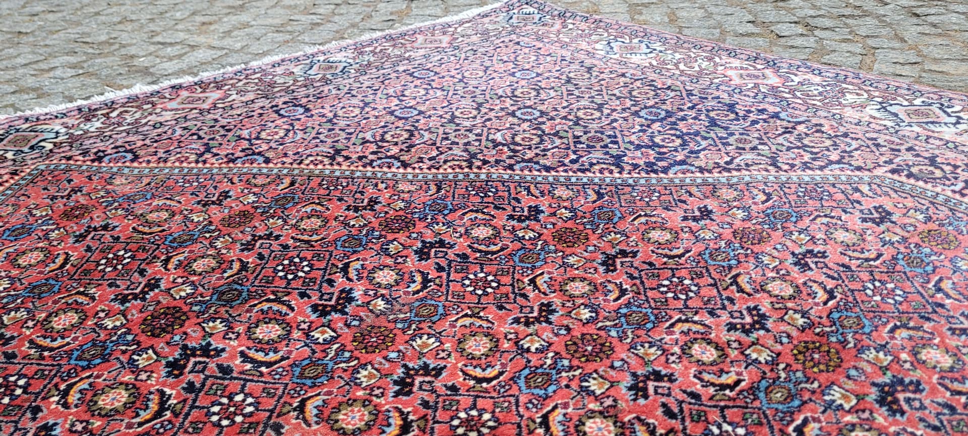 Rug Bidjar Takab 200x300 cm, multicolor, wool, cotton, Iran - 289457
