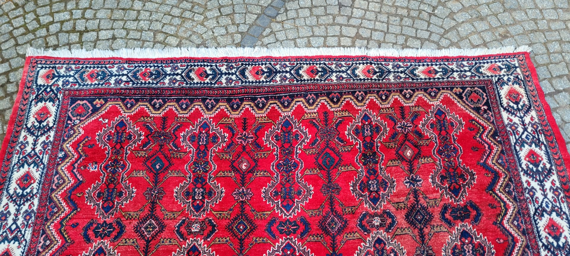 Dywan Ardabil, czerwony, wełna, Iran, 240x325 cm - 289506