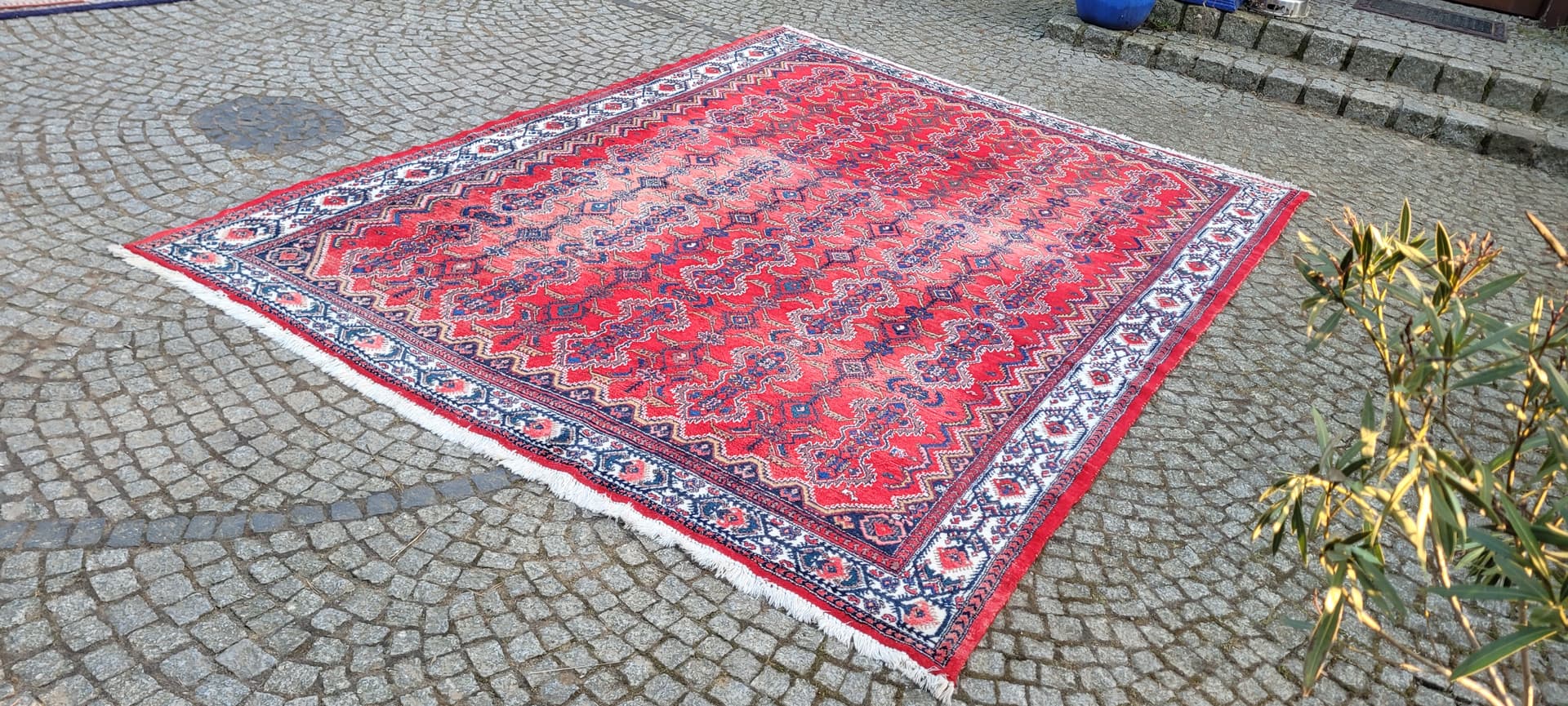 Dywan Ardabil, czerwony, wełna, Iran, 240x325 cm - 289500