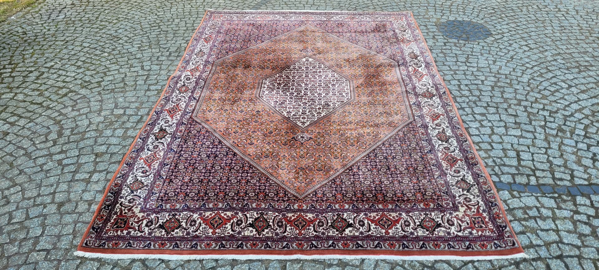 Dywan perski Bidjar Takab 205x300 cm, multikolor, wełna, Iran - 290197