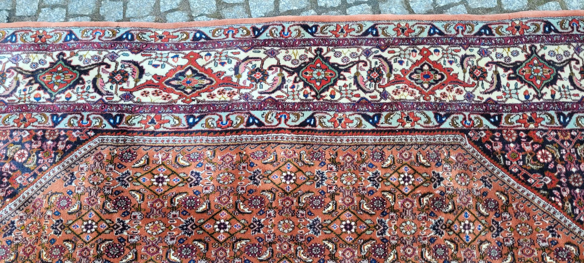 Dywan perski Bidjar Takab 205x300 cm, multikolor, wełna, Iran - 290196