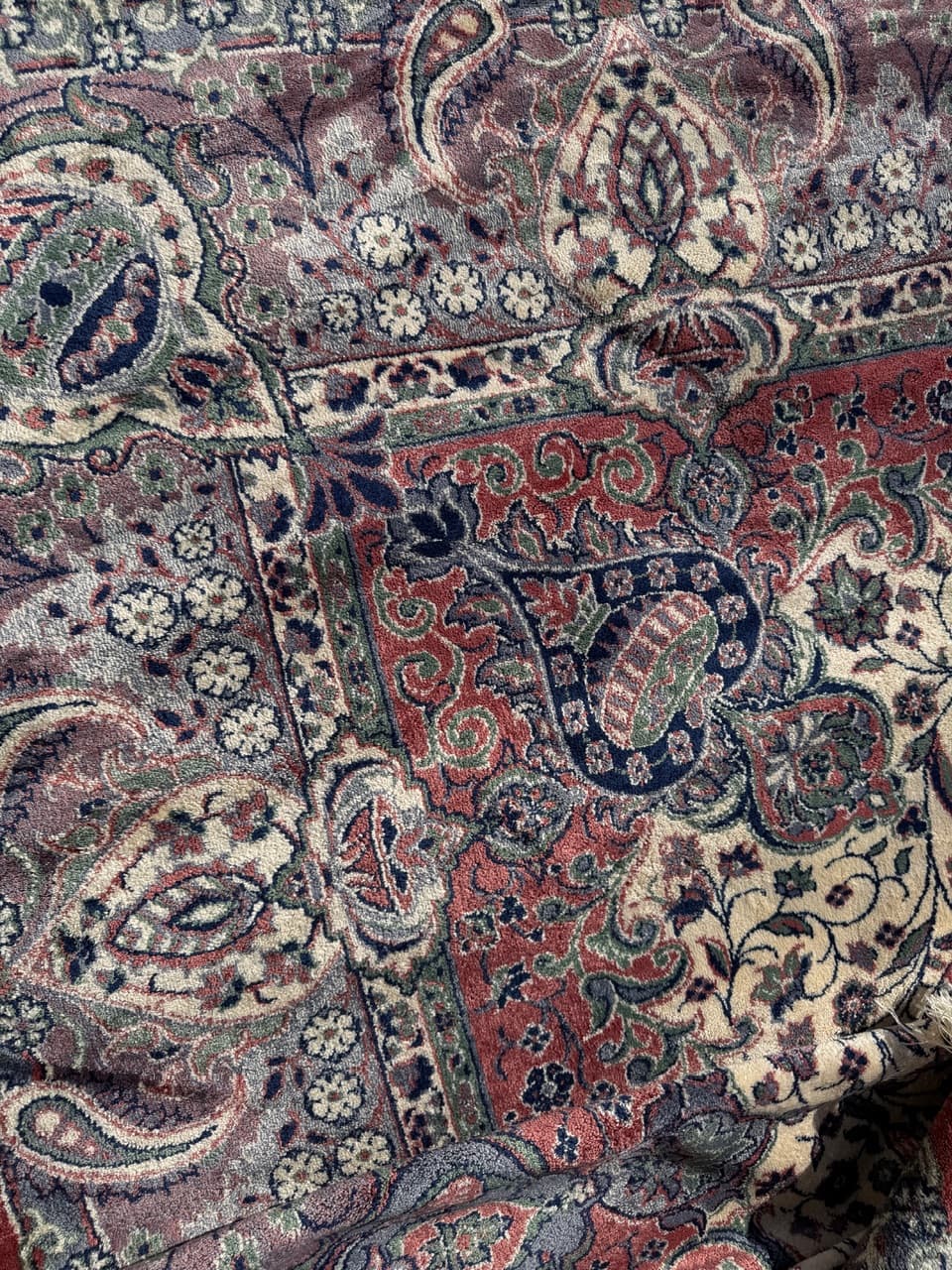 Dywan Rajski Ogród 290x200 cm, multikolor, jedwab belgijski bawełna, Belgia - 290539