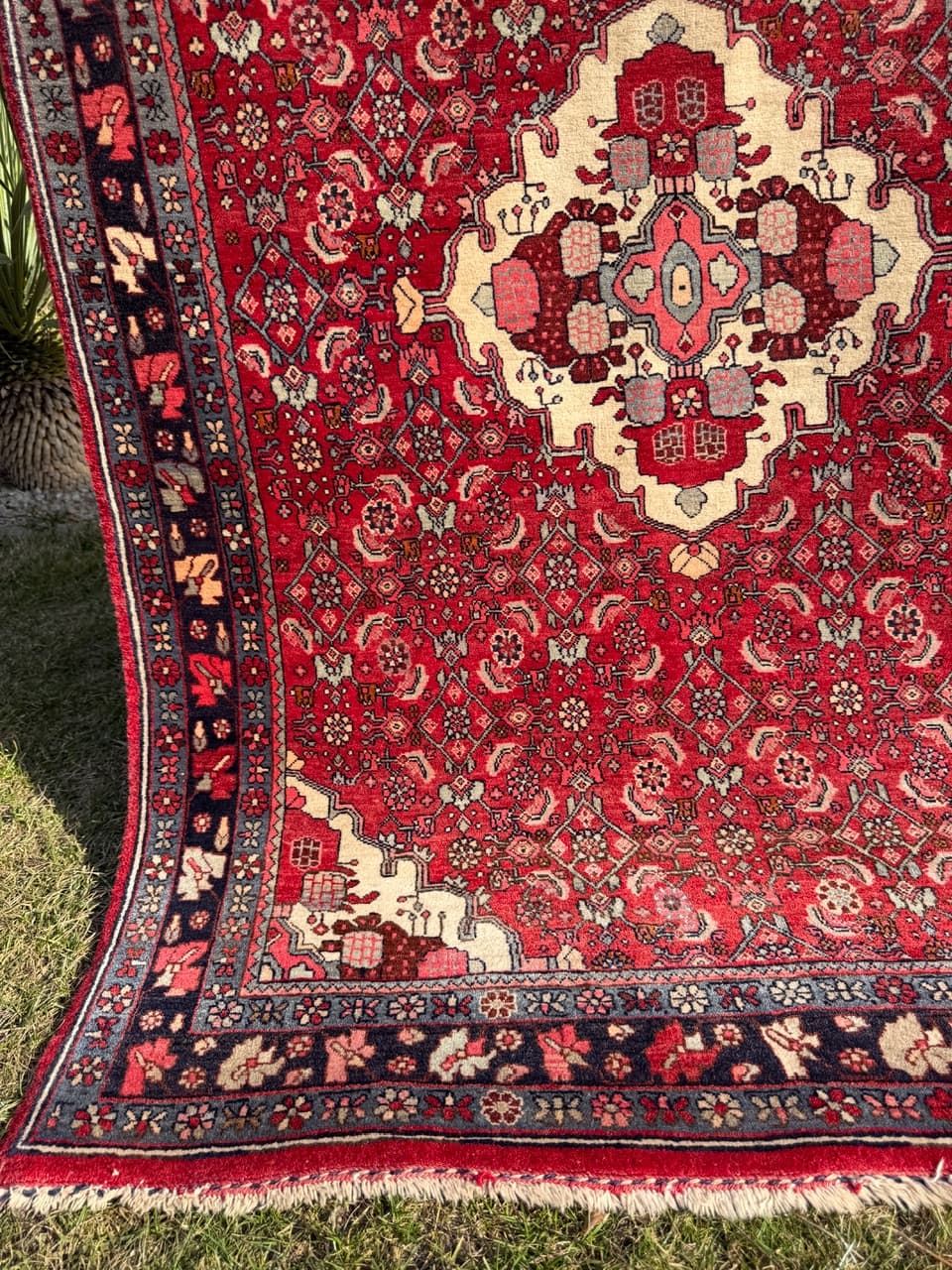 Dywan Bidjar 170x110 cm, czerwony, wełna, Iran - 290829