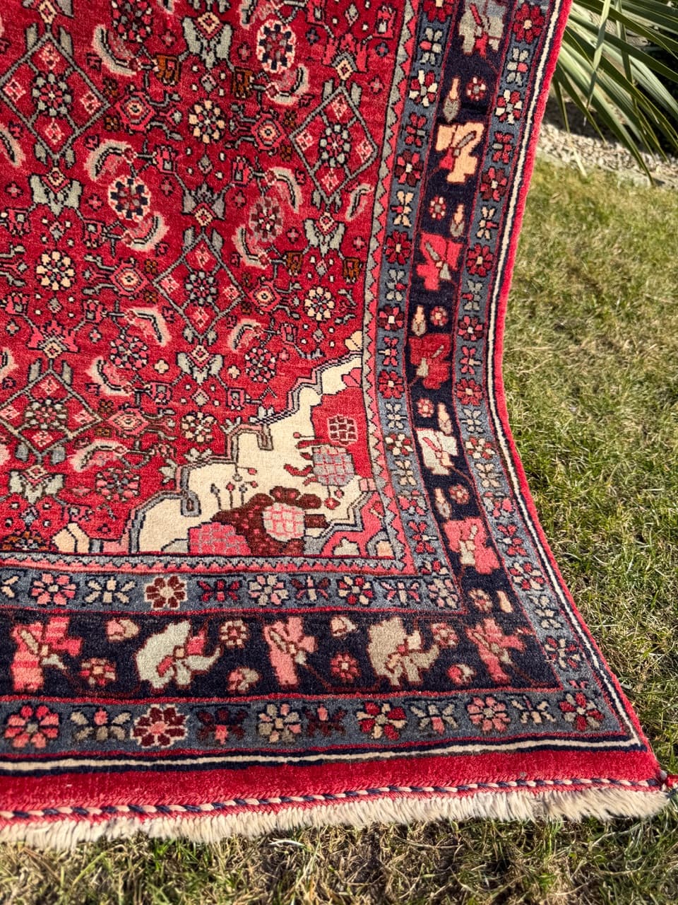 Dywan Bidjar 170x110 cm, czerwony, wełna, Iran - 290832