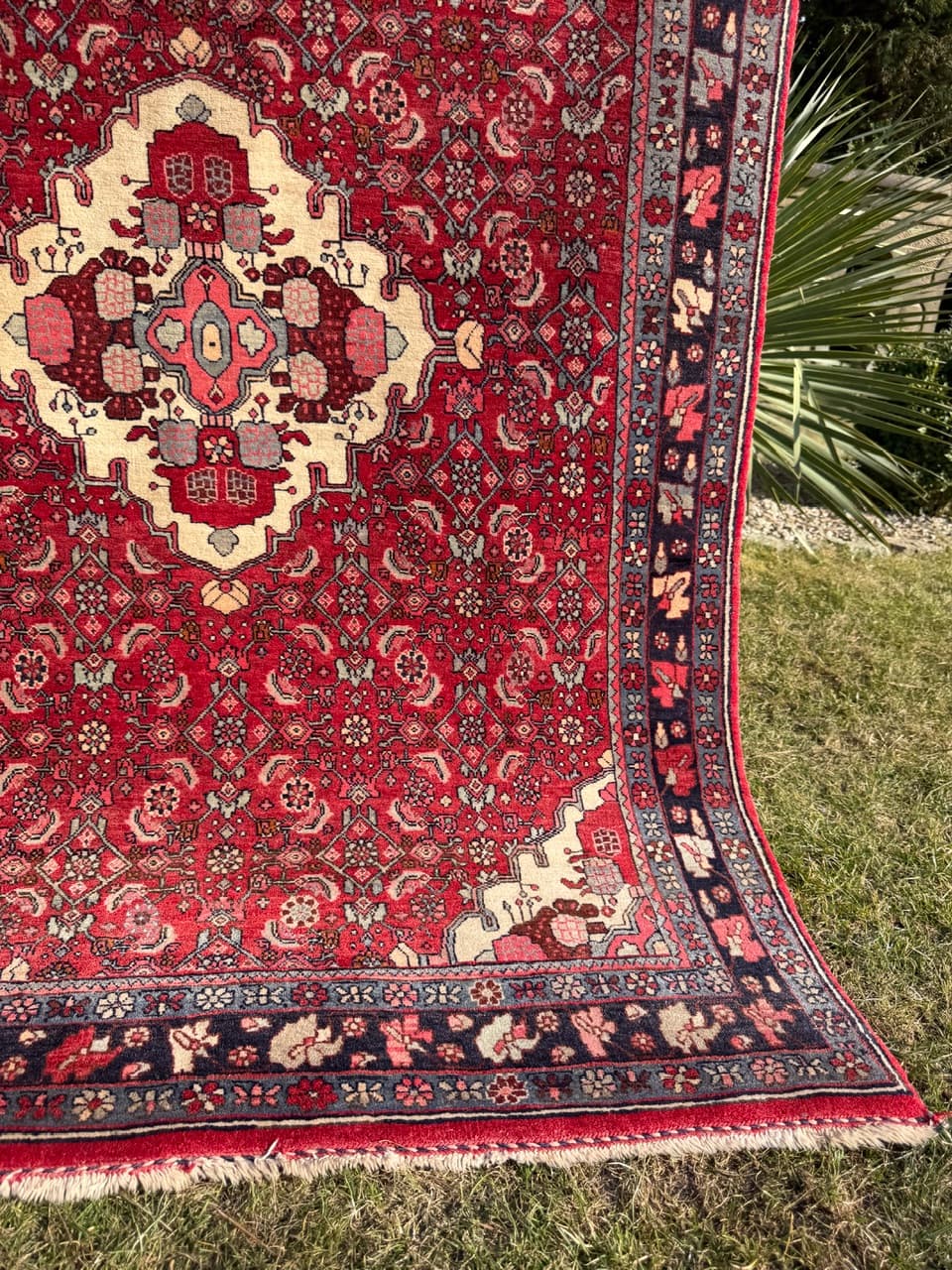 Dywan Bidjar 170x110 cm, czerwony, wełna, Iran - 290830