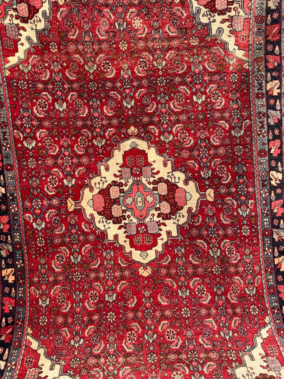 Dywan Bidjar 170x110 cm, czerwony, wełna, Iran - 290831