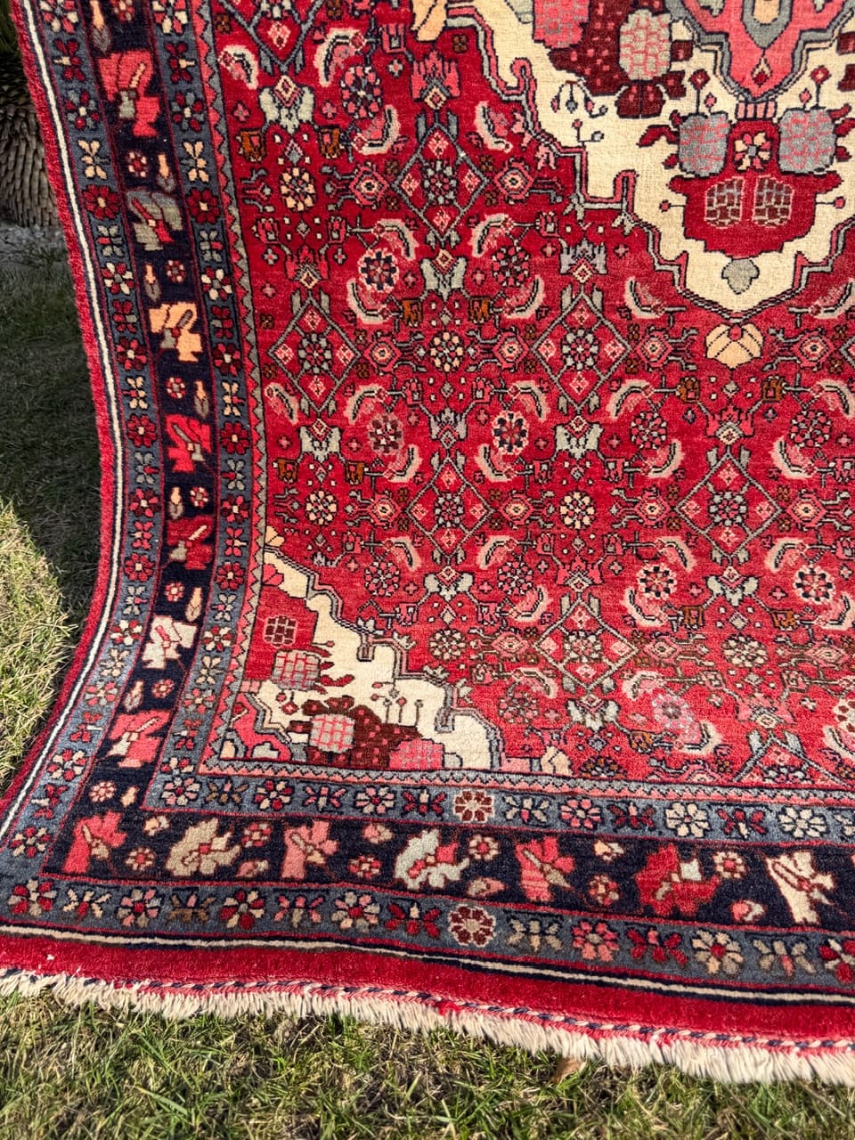 Dywan Bidjar 170x110 cm, czerwony, wełna, Iran - 290835