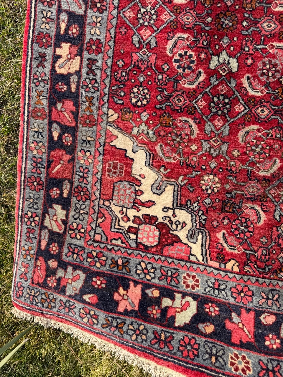 Dywan Bidjar 170x110 cm, czerwony, wełna, Iran - 290841