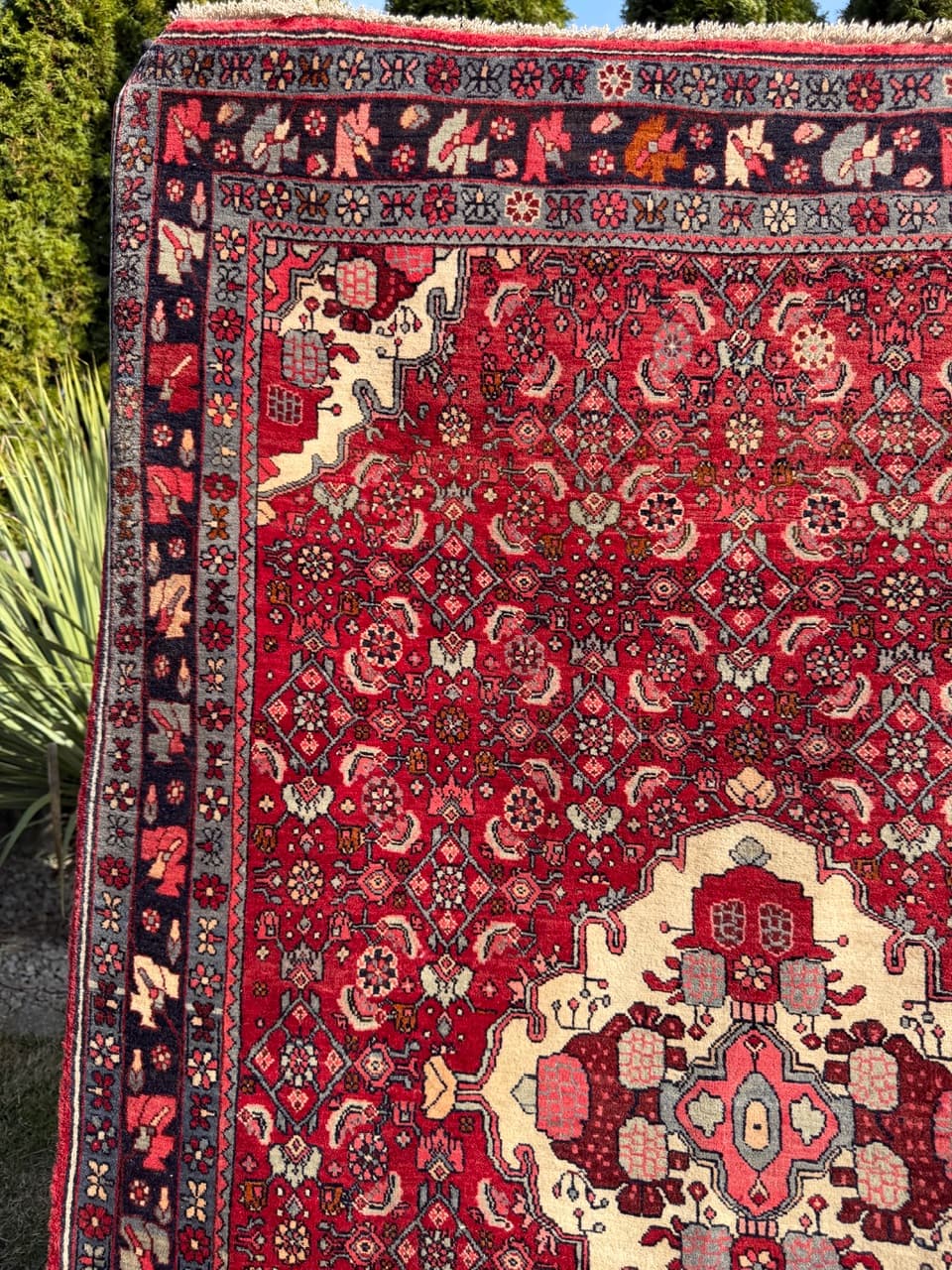 Dywan Bidjar 170x110 cm, czerwony, wełna, Iran - 290834