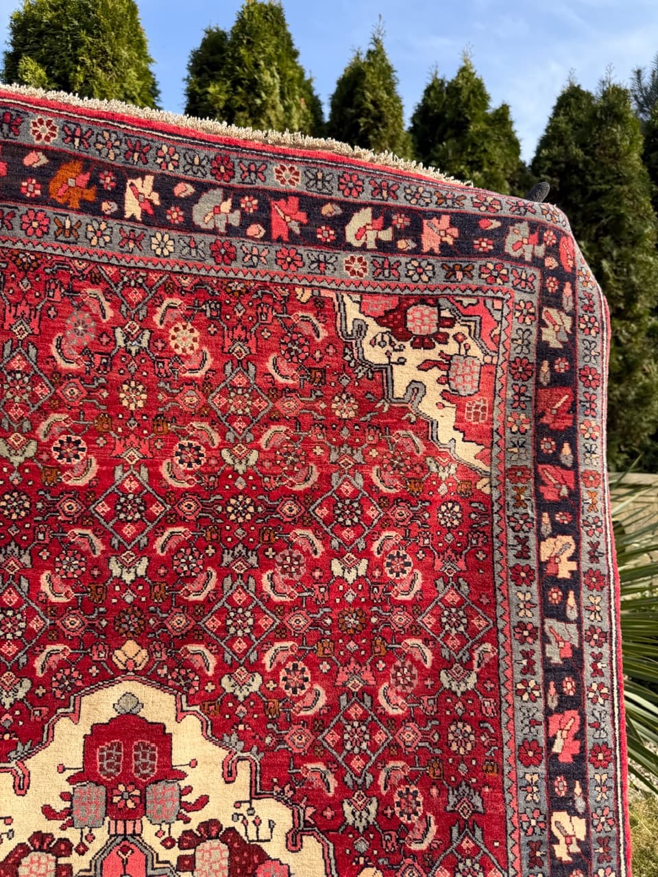 Dywan Bidjar 170x110 cm, czerwony, wełna, Iran - 290833