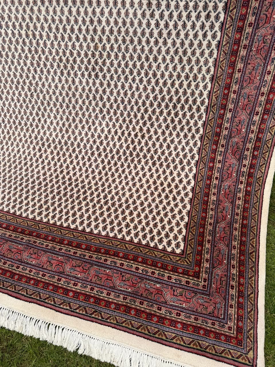 Dywan Indo Mir, 320x250 cm, beżowy, wełna, Indie - 291643