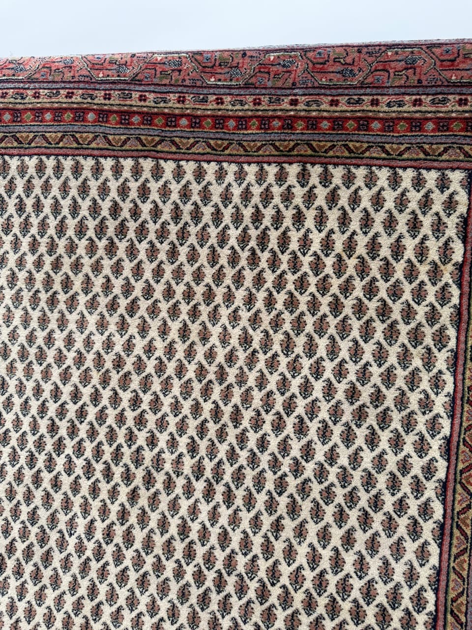 Dywan Indo Mir, 320x250 cm, beżowy, wełna, Indie - 291639