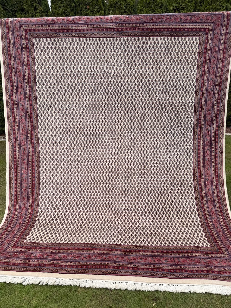 Dywan Indo Mir, 320x250 cm, beżowy, wełna, Indie - 291642