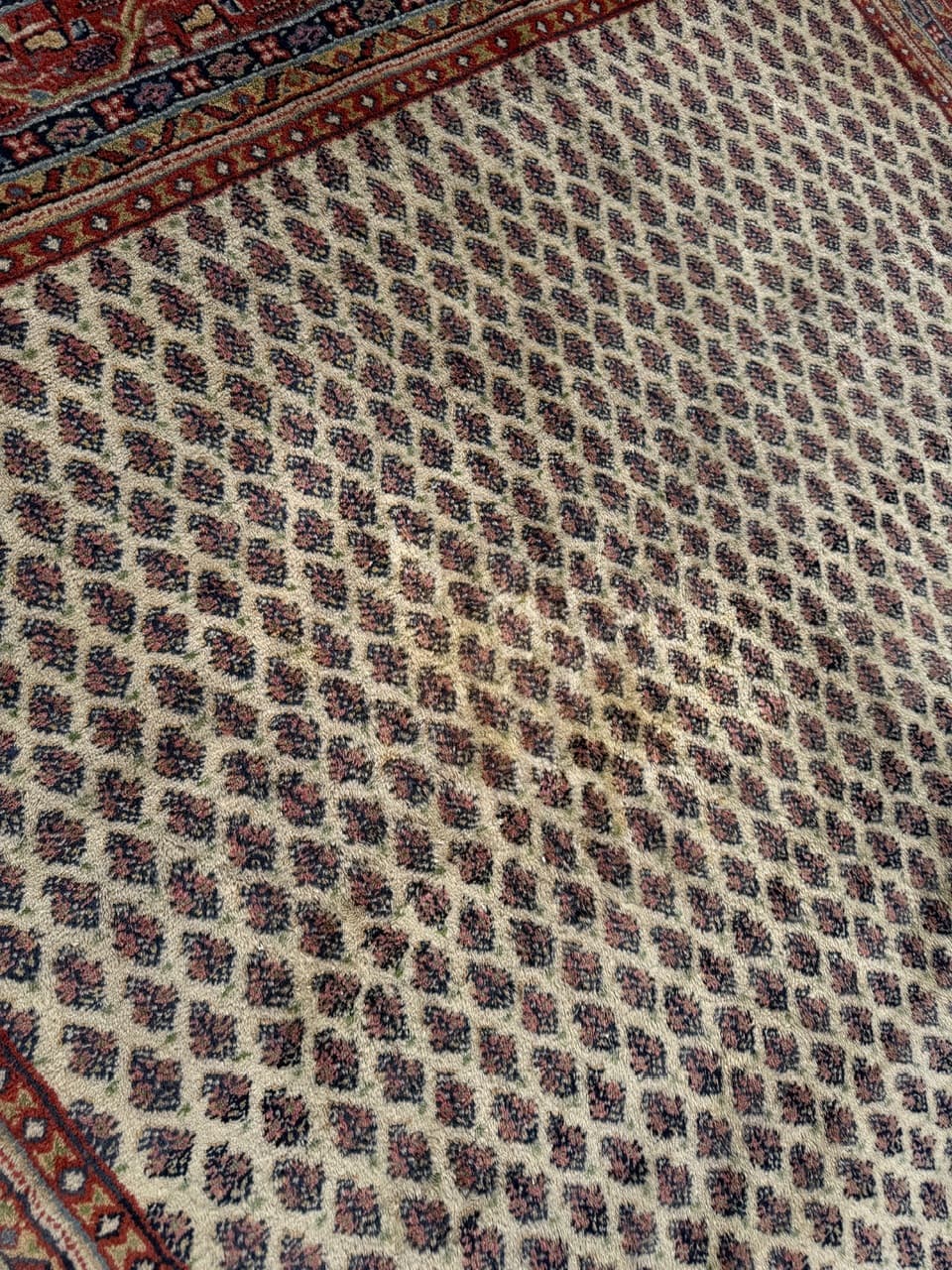 Dywan Indo Mir, 250x170 cm, wełna beżowy brązowy czerwony niebieski żółty, Indie - 293667