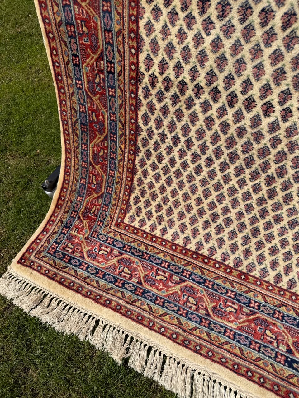 Dywan Indo Mir, 250x170 cm, wełna beżowy brązowy czerwony niebieski żółty, Indie - 293658