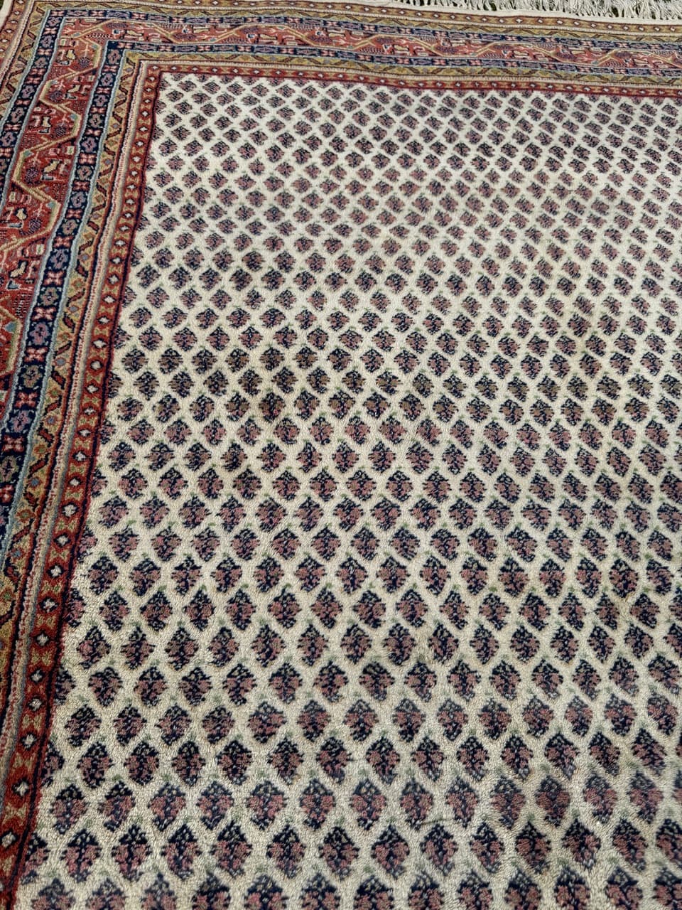 Dywan Indo Mir, 250x170 cm, wełna beżowy brązowy czerwony niebieski żółty, Indie - 293669