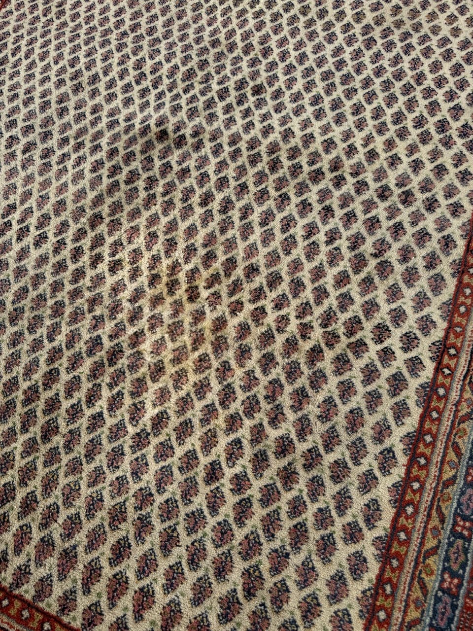 Dywan Indo Mir, 250x170 cm, wełna beżowy brązowy czerwony niebieski żółty, Indie - 293664