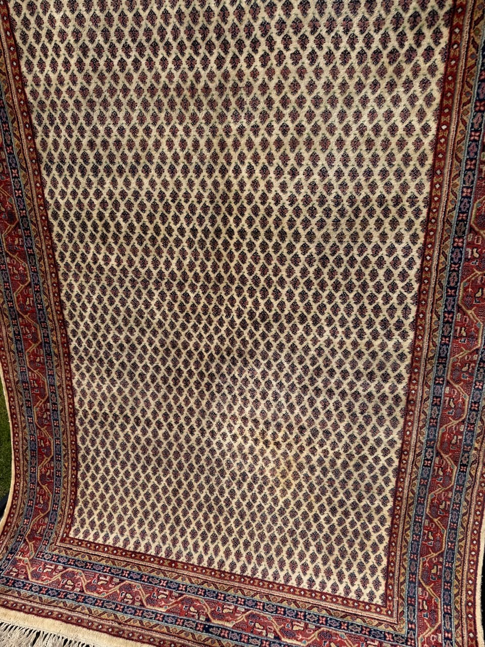 Dywan Indo Mir, 250x170 cm, wełna beżowy brązowy czerwony niebieski żółty, Indie - 293662