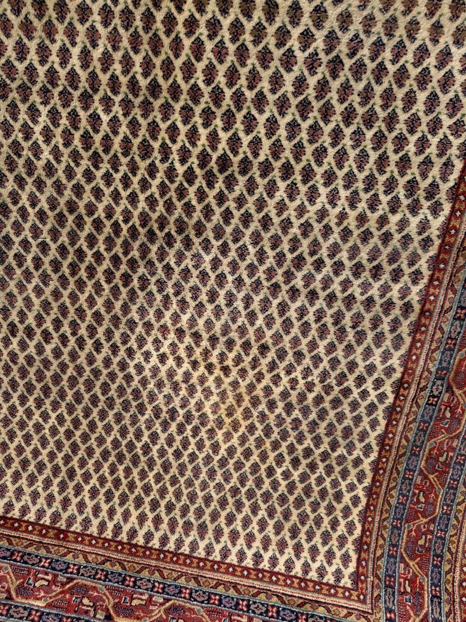 Dywan Indo Mir, 250x170 cm, wełna beżowy brązowy czerwony niebieski żółty, Indie - 293657