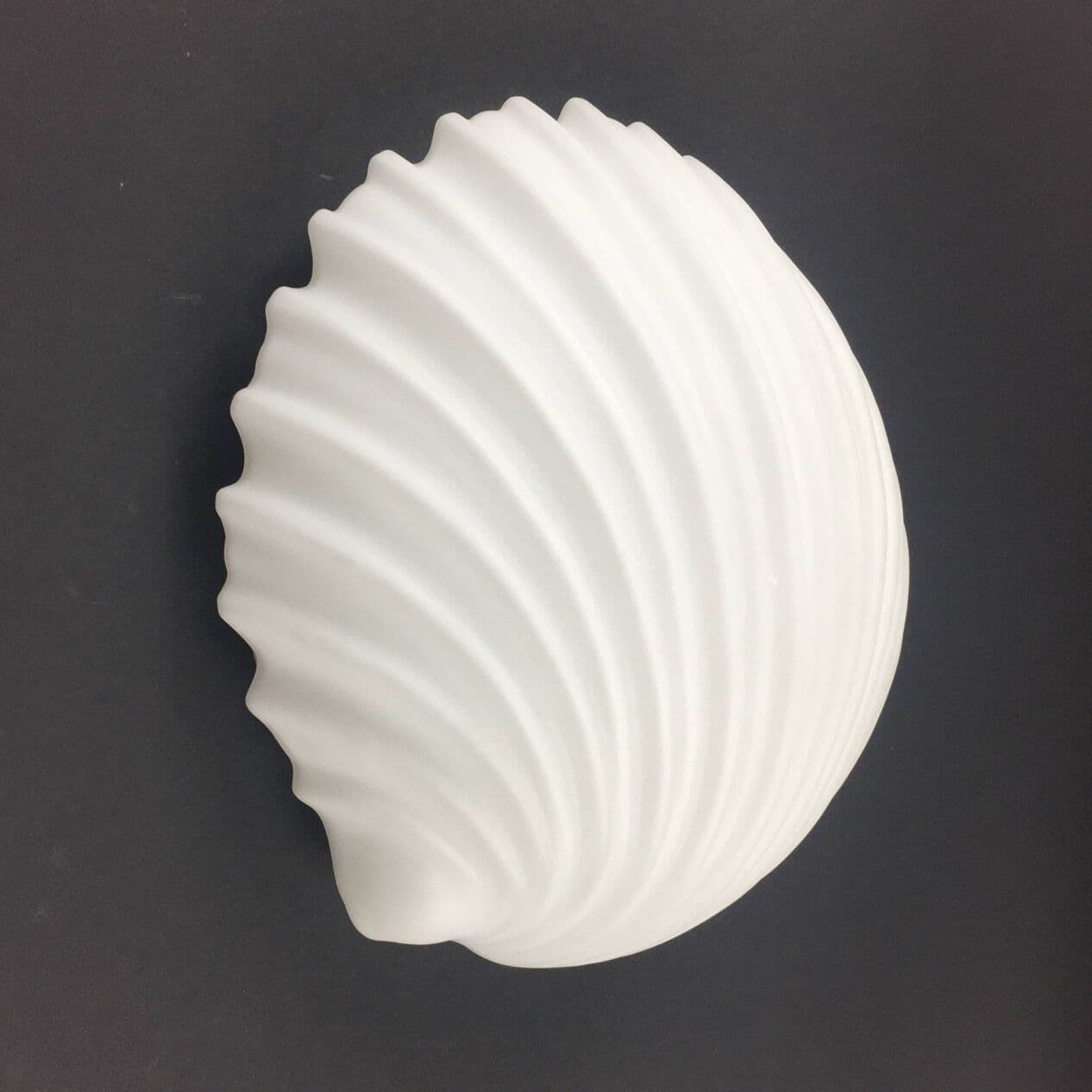 Pair of wall lights, Shell, white opaline glass, Limburg, Germany, 1970s. - 294187