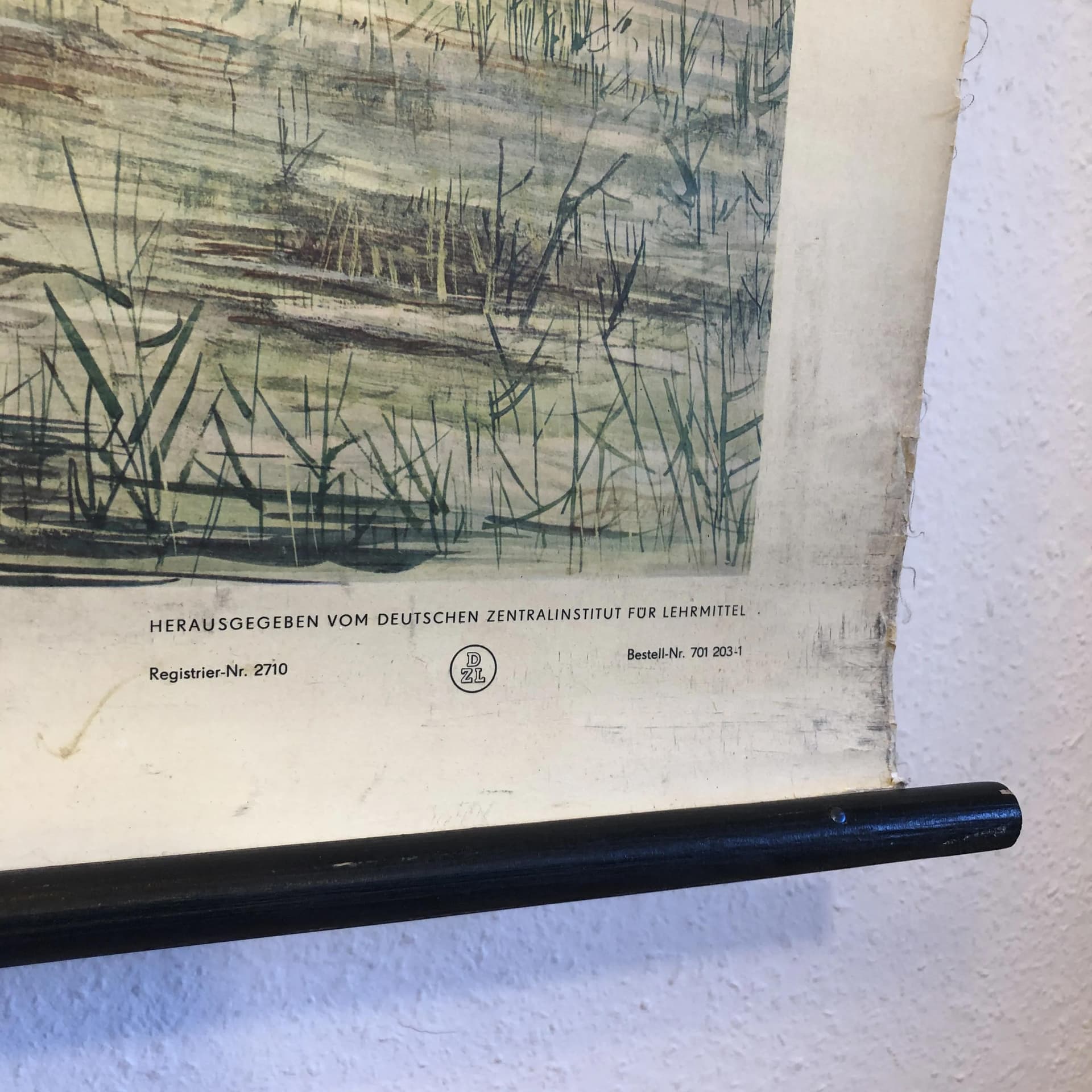 Tablica edukacyjna Okres Kreda, multikolor, papier, aut. H. Dost, Niemcy, lata 70. - 21828