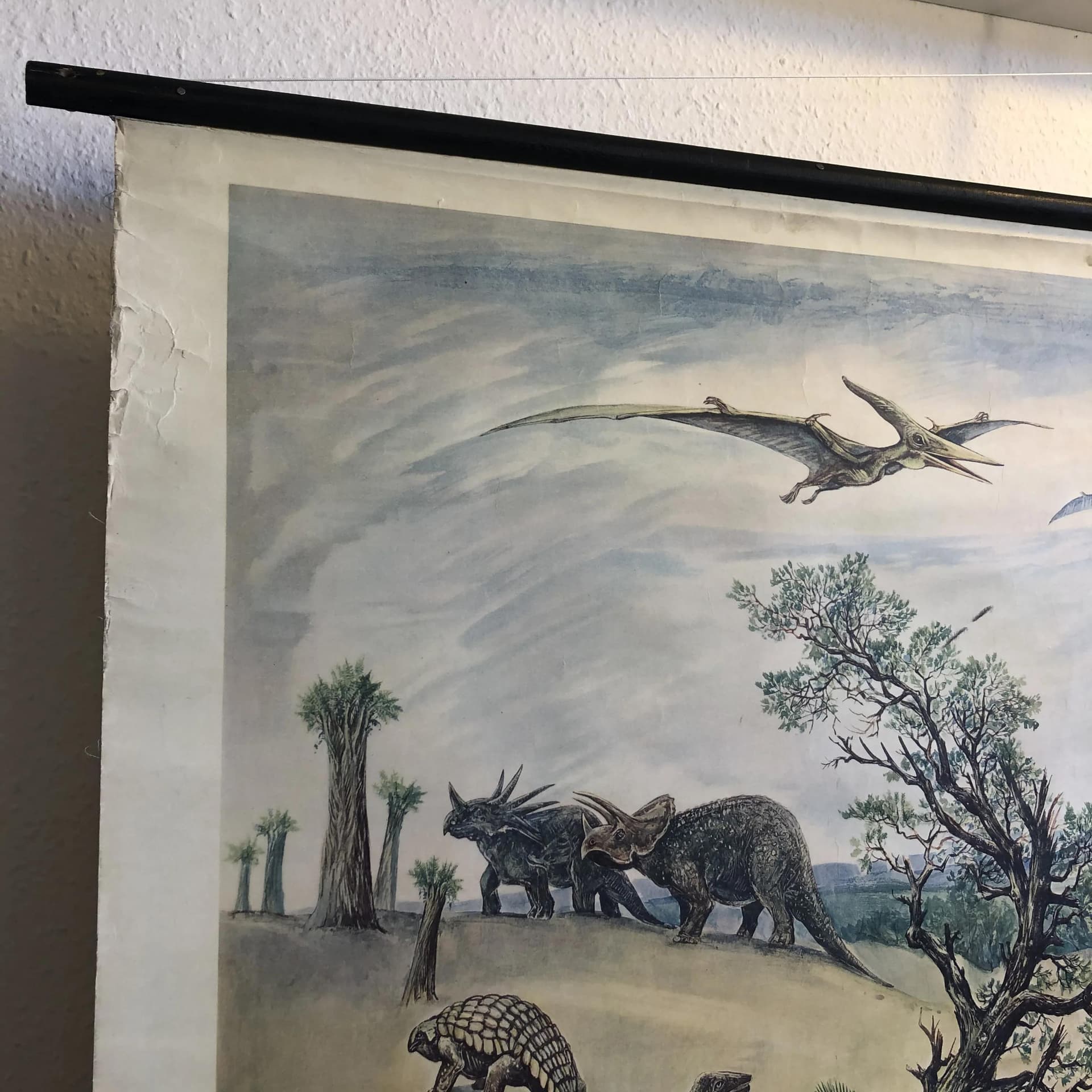 Tablica edukacyjna Okres Kreda, multikolor, papier, aut. H. Dost, Niemcy, lata 70. - 21824