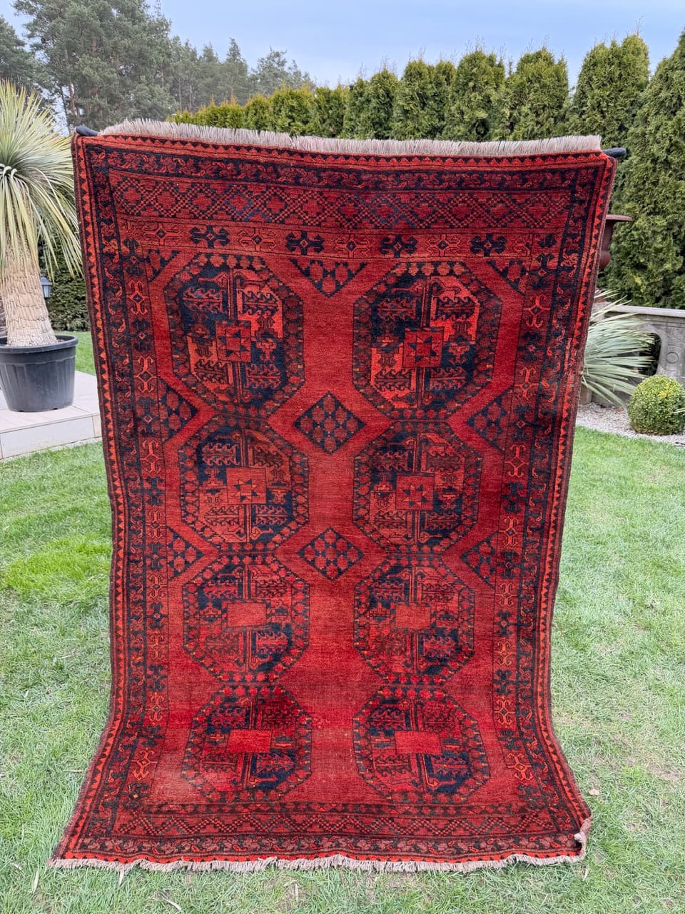 Dywan afgański, czerwony niebieski czarny, wełna, Afganistan, XIX w., 215x135 cm - 297178