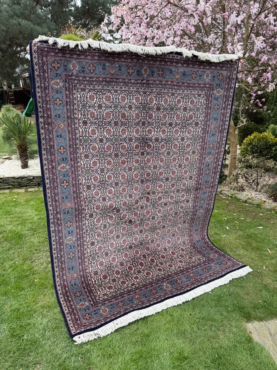 Dywan Indo Bidjar, czerwony, wełna, Indie, 250x165 cm - 298033