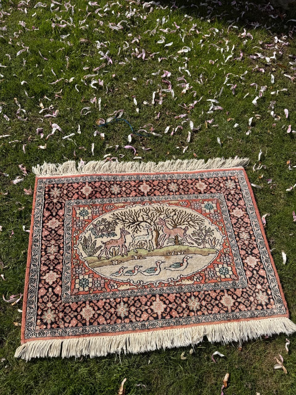 Dywan Ghoum, 95x75 cm, jedwab terakotowy, bawełna kremowa, Indie - 298566