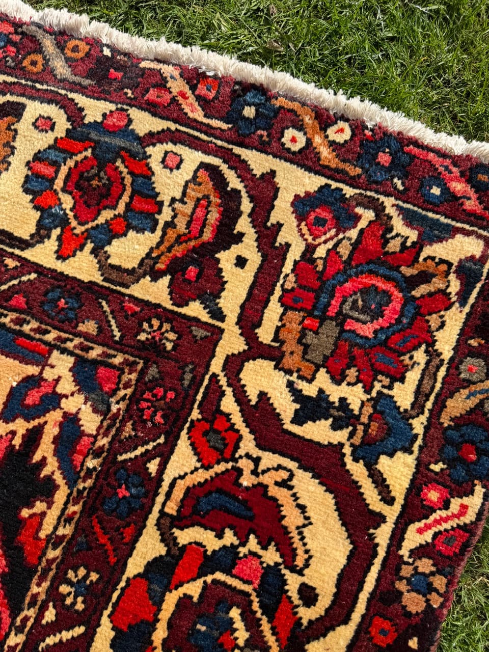 Dywan perski Bahtiari, burgundowy niebieski kość słoniowa, wełna, Iran - 298899