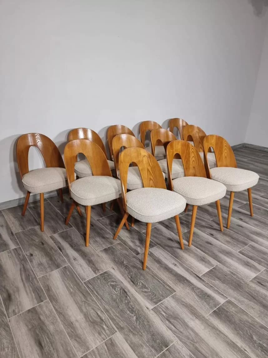 Komplet 12 krzeseł, sklejka brązowa, dąb miodowy, bawełna beżowa, proj. A. Suman, Tatra Nabytok, Czechosłowacja, lata 60. - 299276