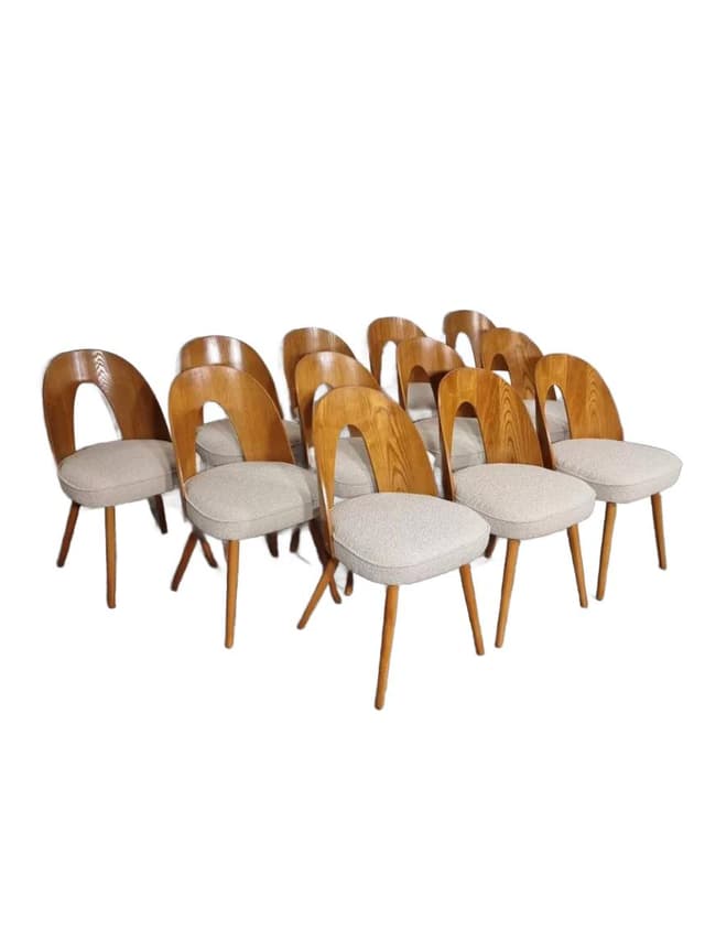 Komplet 12 krzeseł, sklejka brązowa, dąb miodowy, bawełna beżowa, proj. A. Suman, Tatra Nabytok, Czechosłowacja, lata 60. - WYMIARY