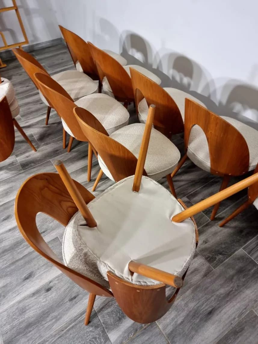Komplet 12 krzeseł, sklejka brązowa, dąb miodowy, bawełna beżowa, proj. A. Suman, Tatra Nabytok, Czechosłowacja, lata 60. - 299282