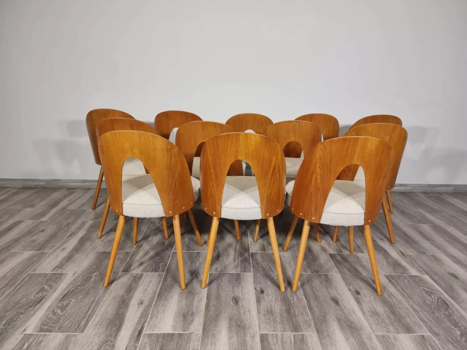 Komplet 12 krzeseł, sklejka brązowa, dąb miodowy, bawełna beżowa, proj. A. Suman, Tatra Nabytok, Czechosłowacja, lata 60. - 299280