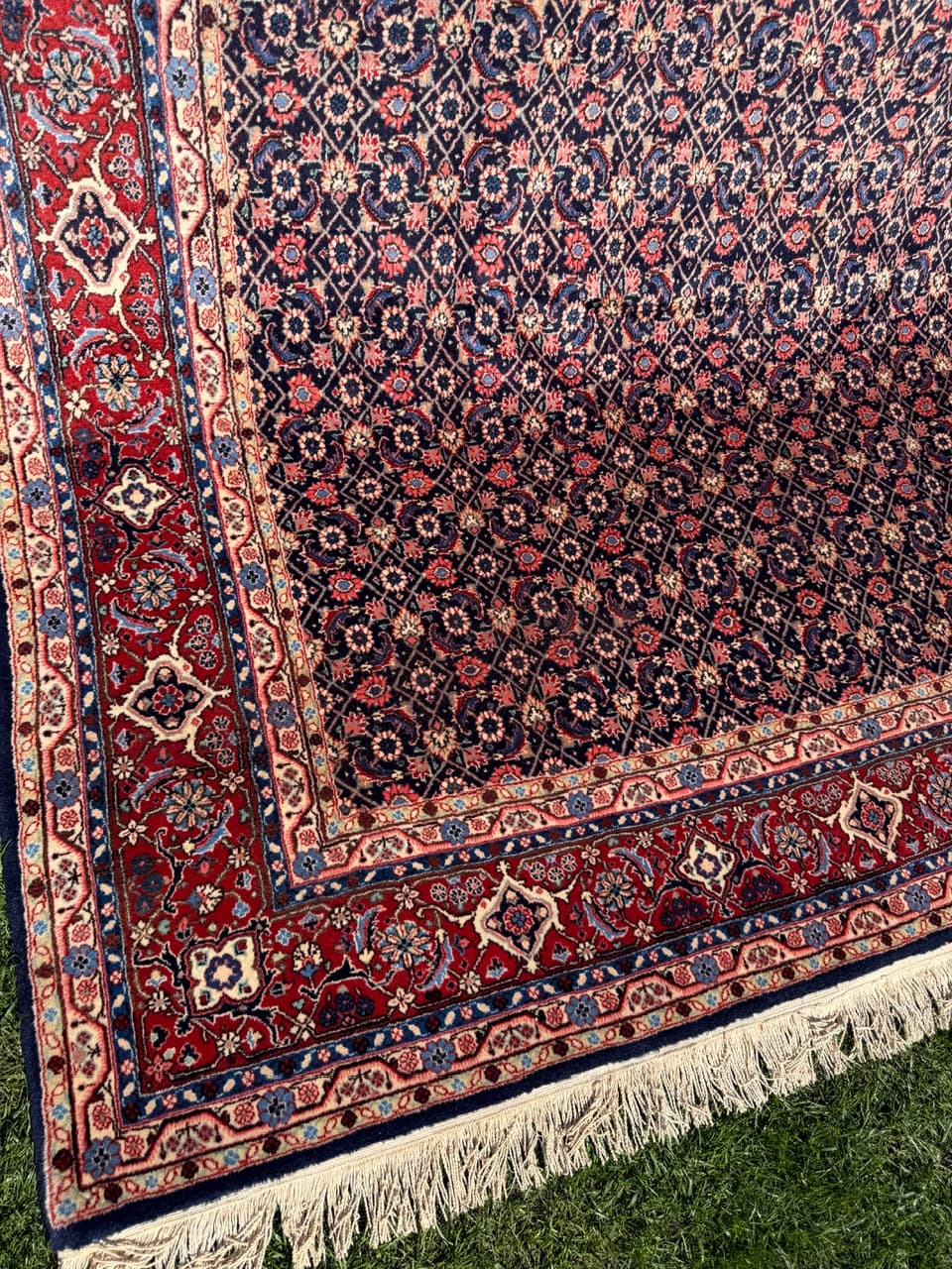 Dywan Bidjar, 315x205 cm, granatowy, wełna kaszmirowa, Iran - 300154