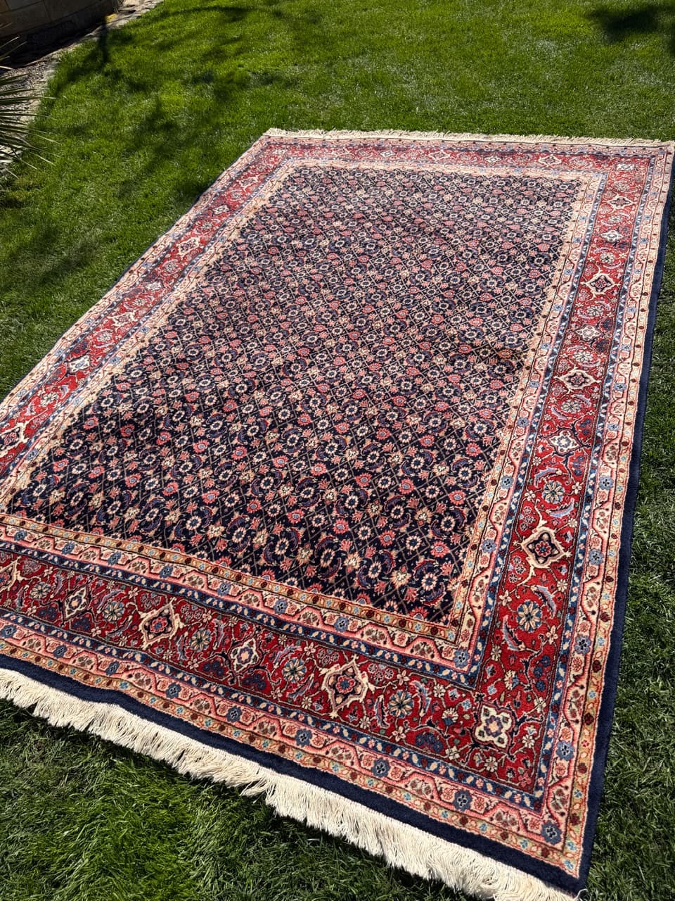Dywan Bidjar, 315x205 cm, granatowy, wełna kaszmirowa, Iran - 300161