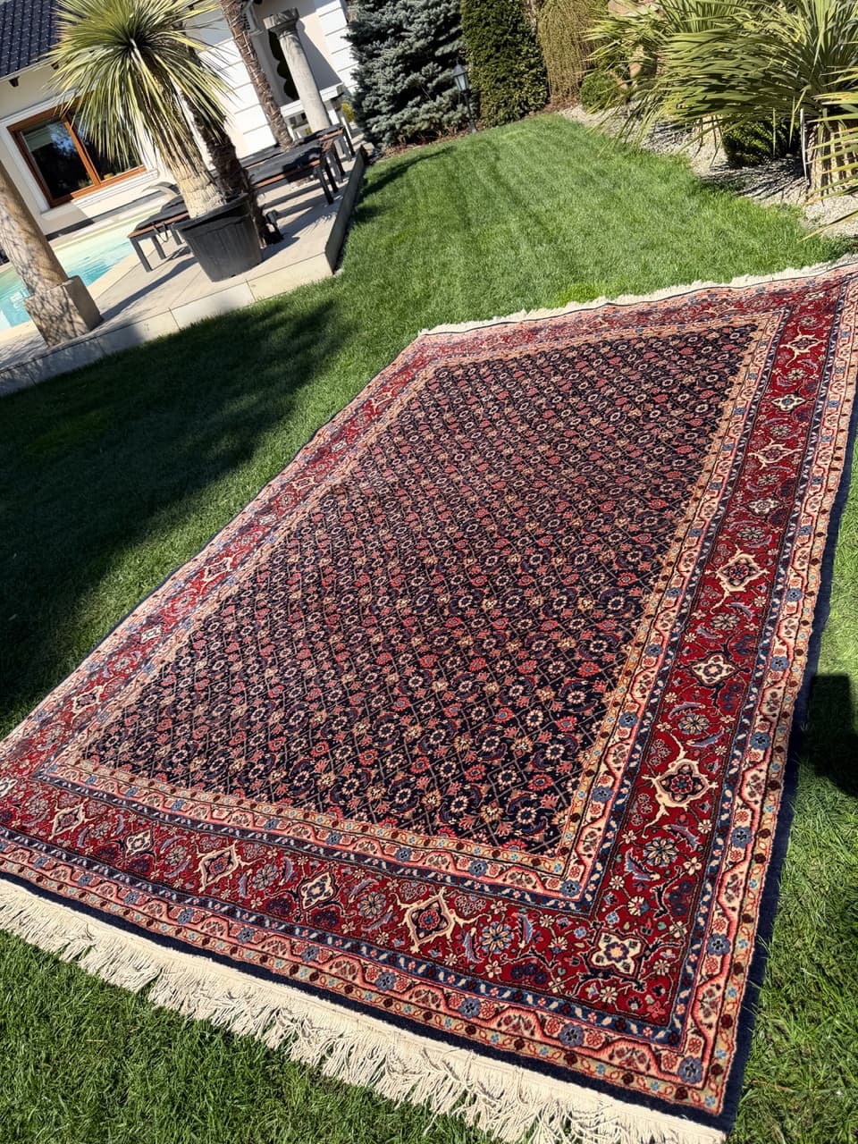 Dywan Bidjar, 315x205 cm, granatowy, wełna kaszmirowa, Iran - 300159