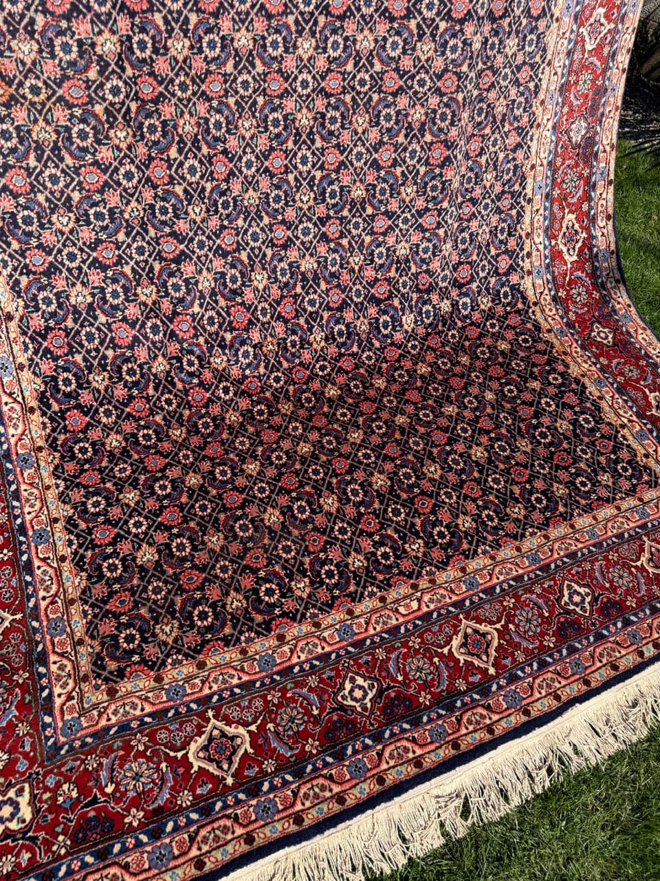 Dywan Bidjar, 315x205 cm, granatowy, wełna kaszmirowa, Iran - 300157
