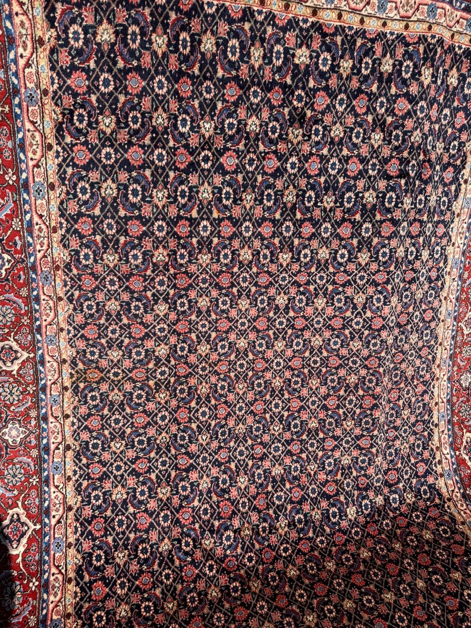 Dywan Bidjar, 315x205 cm, granatowy, wełna kaszmirowa, Iran - 300158