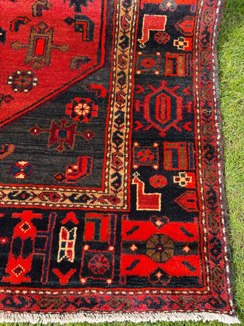 Dywan Hamadan 275x140 cm, czerwony czarny, wełna, Iran - 300186