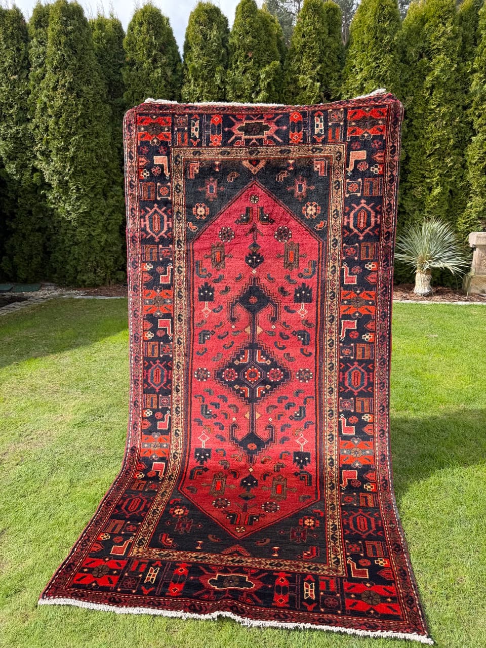 Dywan Hamadan 275x140 cm, czerwony czarny, wełna, Iran - 300184
