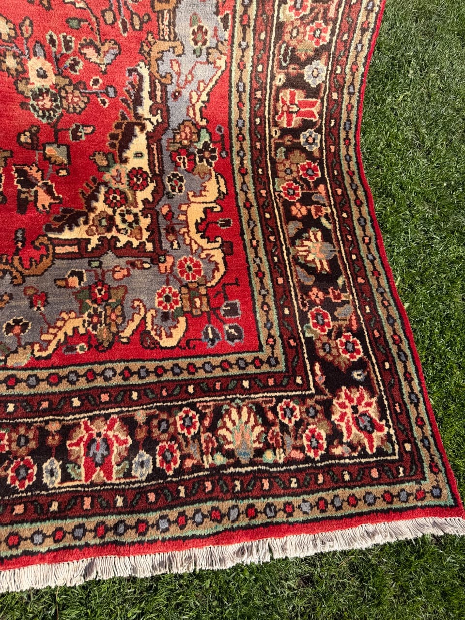 Dywan Hamadan 310x205 cm, czerwony, wełna, Iran - 301568