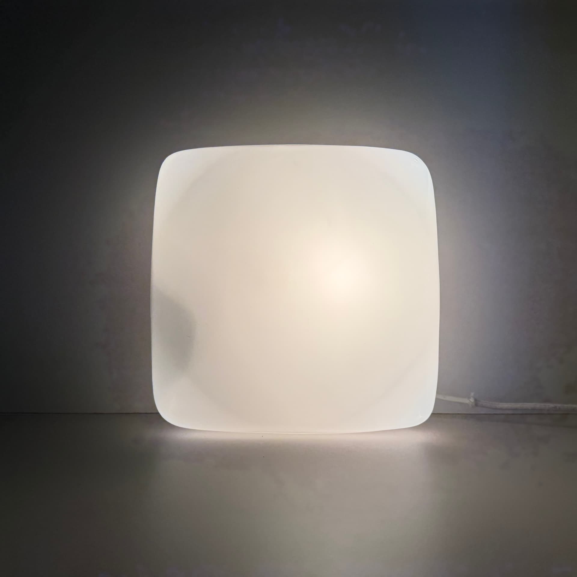 Wall Light, Bauhaus Style, white glass, black metal, Germany, 1960s. - 301579