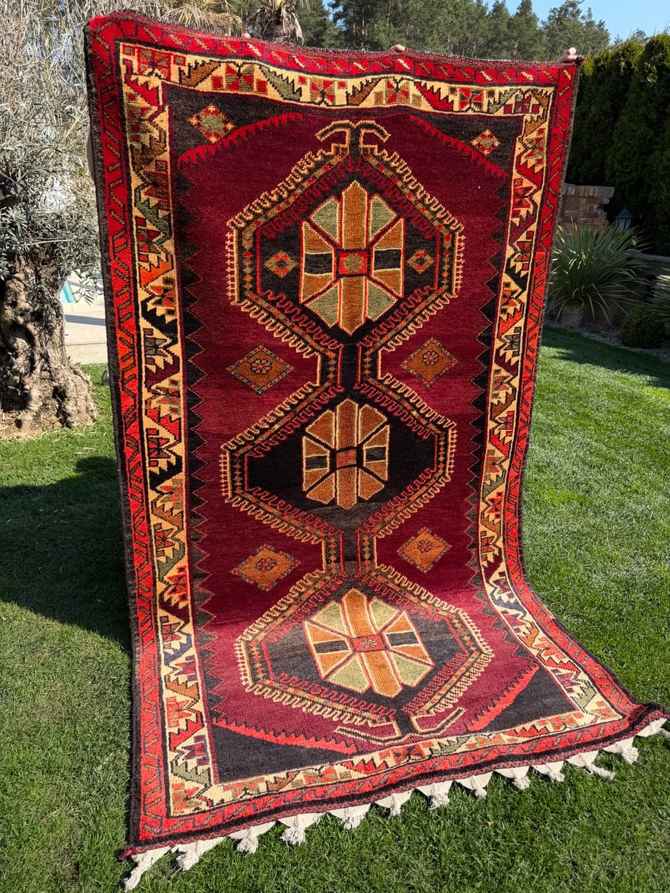 Dywan Hamadan 265x165 cm, czerwony, wełna, Iran - 301981