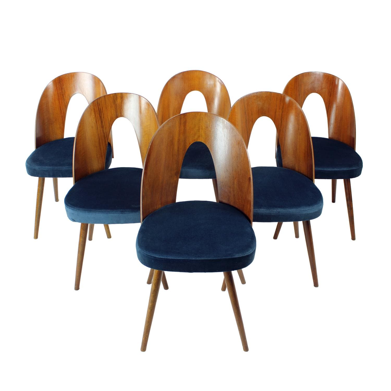 Set of Six Chairs, walnut, navy blue velvet, by A. Šuman, Tatra Nabytok, Czechoslovakia, 1960s.