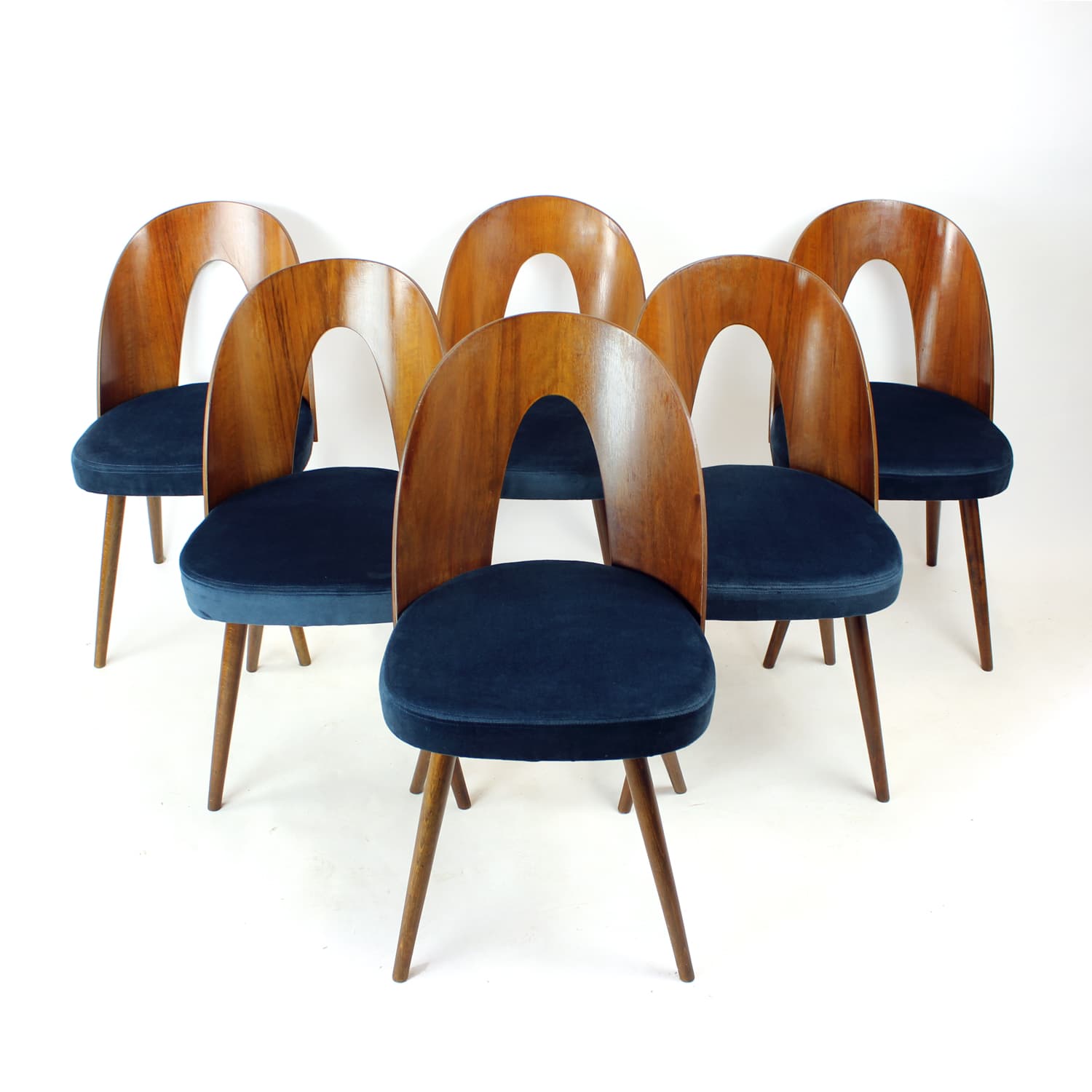 Set of Six Chairs, walnut, navy blue velvet, by A. Šuman, Tatra Nabytok, Czechoslovakia, 1960s. - 302763