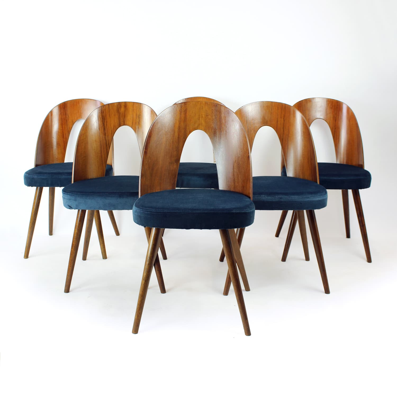 Set of Six Chairs, walnut, navy blue velvet, by A. Šuman, Tatra Nabytok, Czechoslovakia, 1960s. - 302755